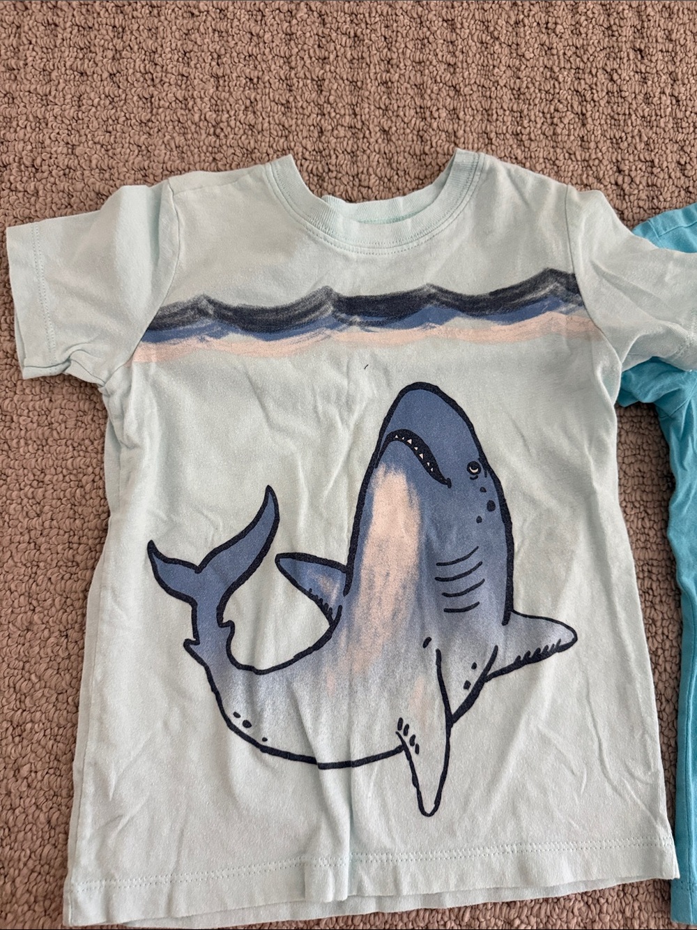 Carter's Boys' Assorted Short Sleeve Tees - Blue, Teal, Green, White - Picture 12 of 16